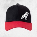 Mack Tri Colour Curved Trucker Cap